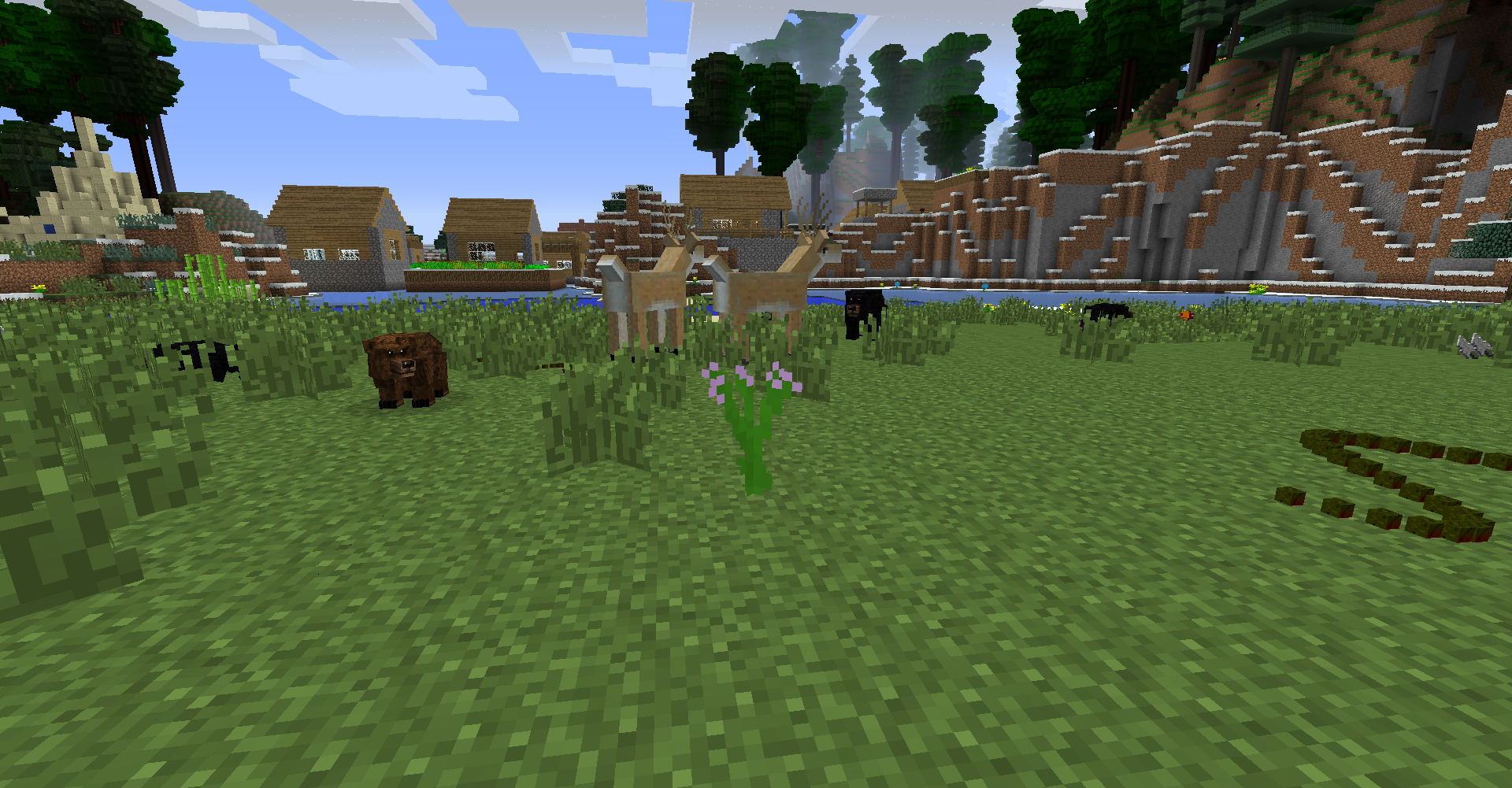 All kinds of animals and creatures