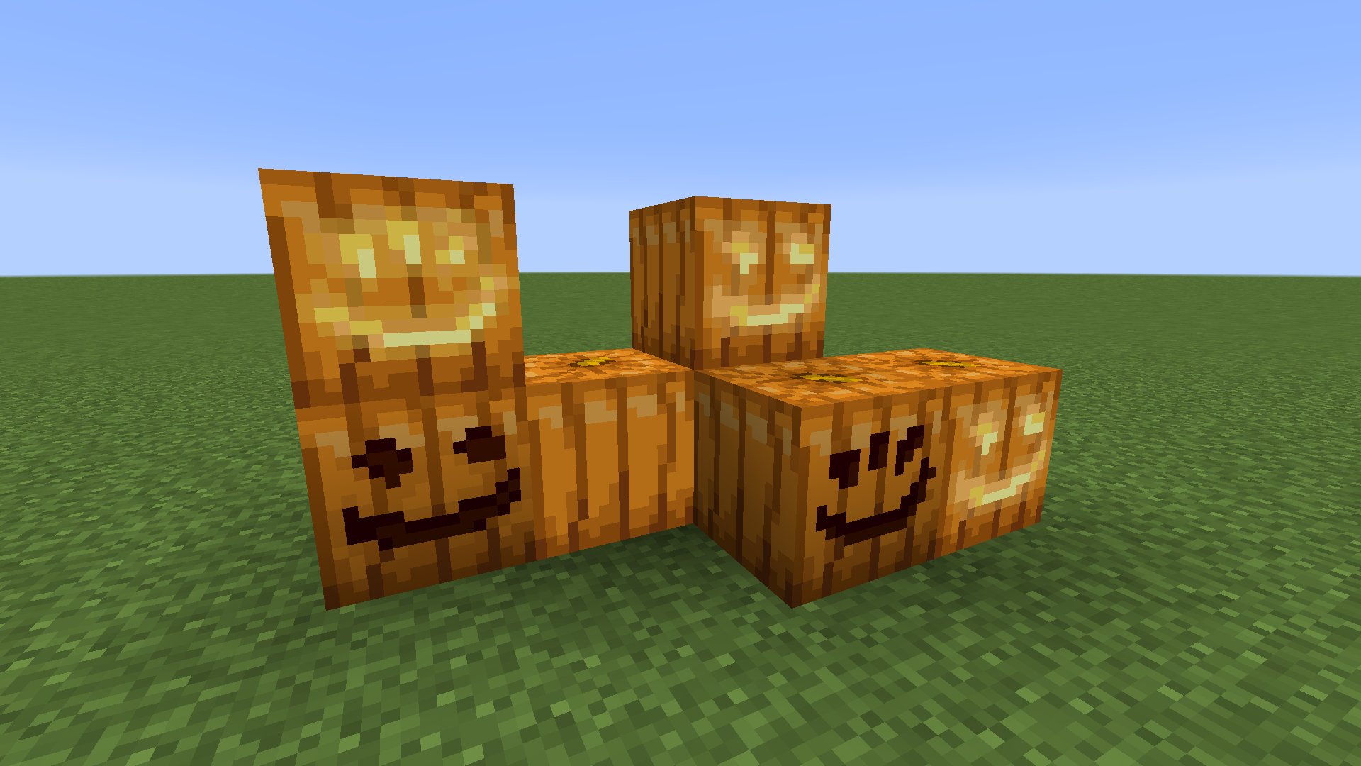 Brand New Pumpkins!