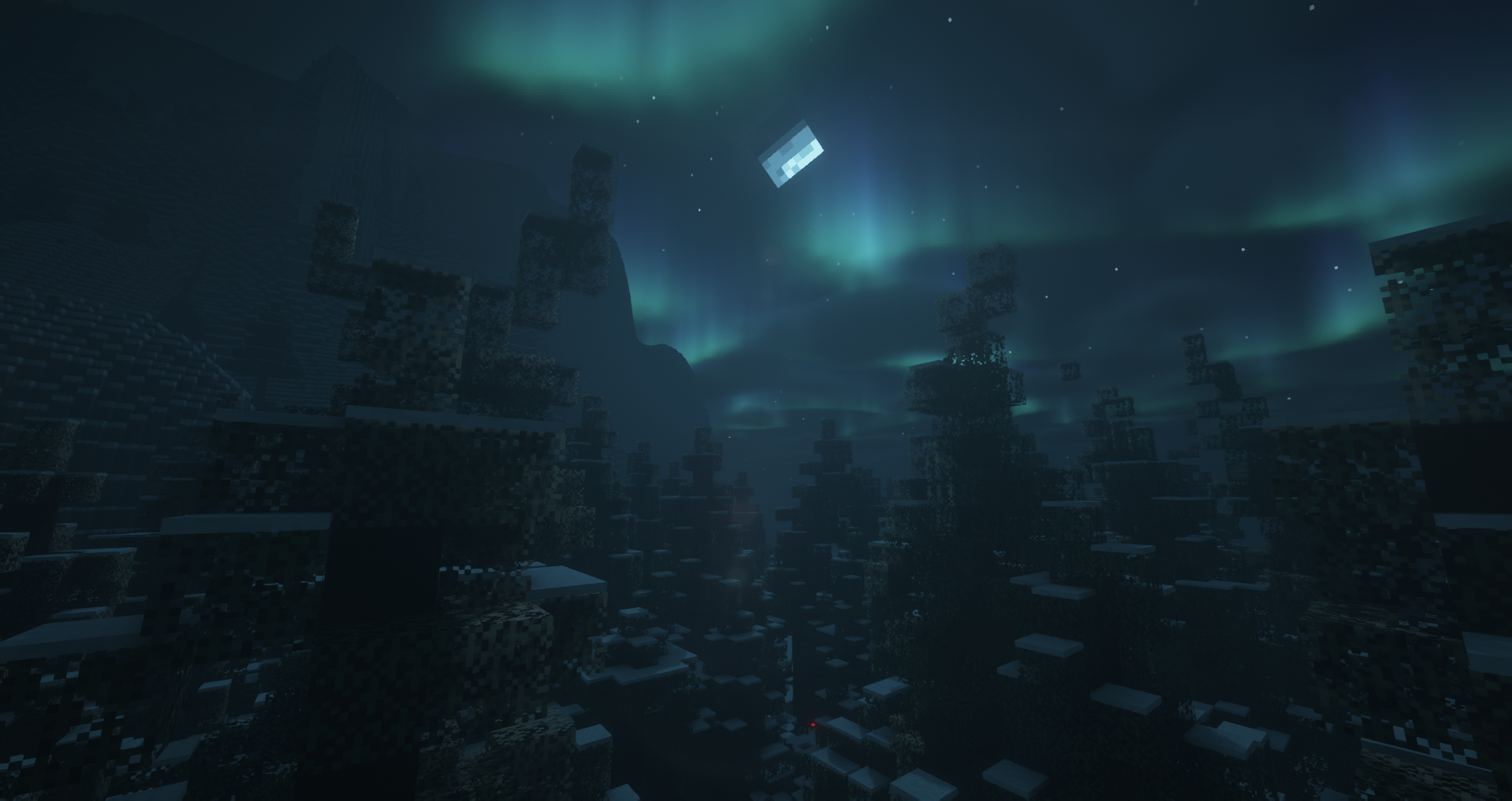 Forest at night