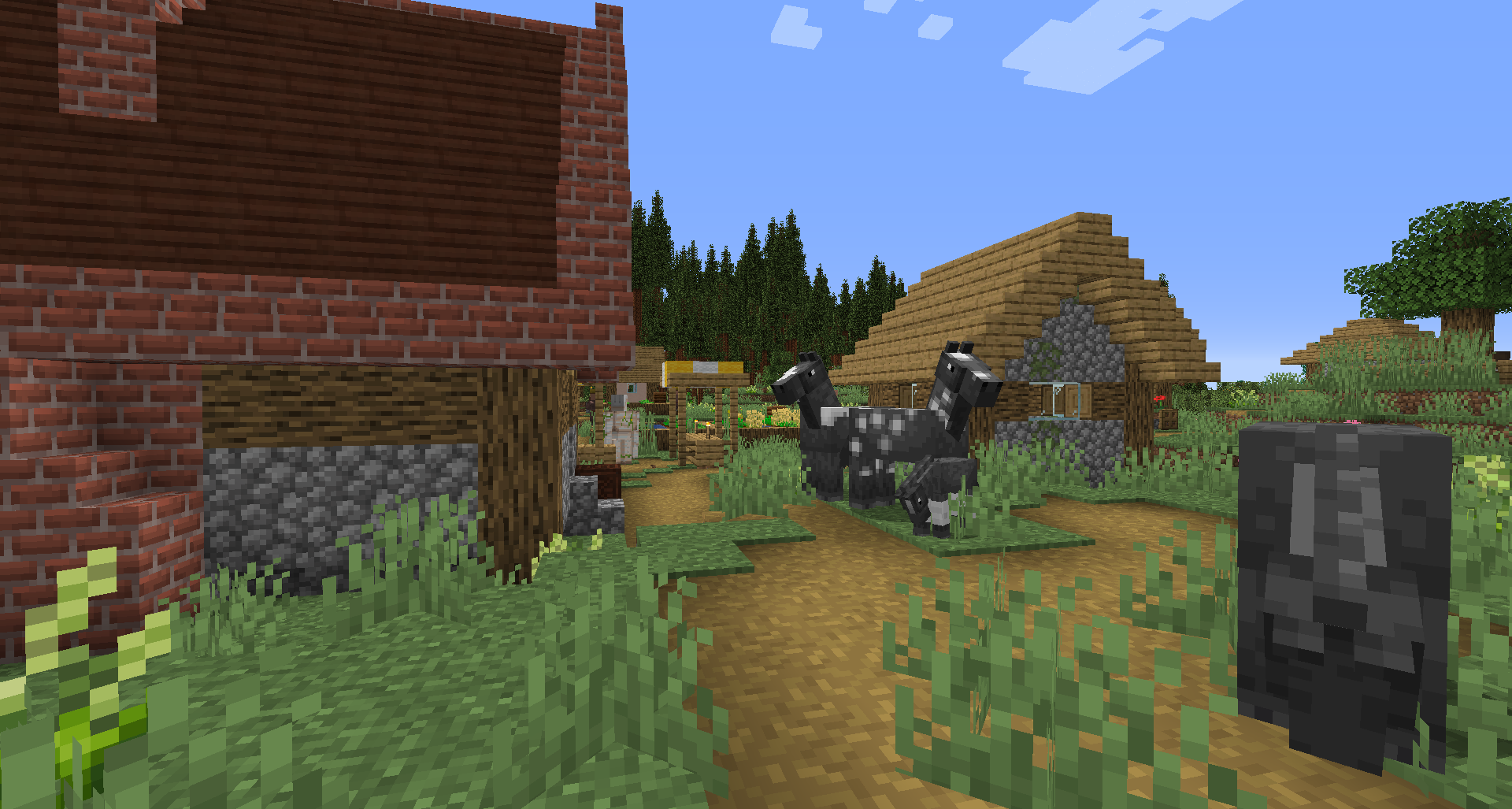 A small village that generates in the pack