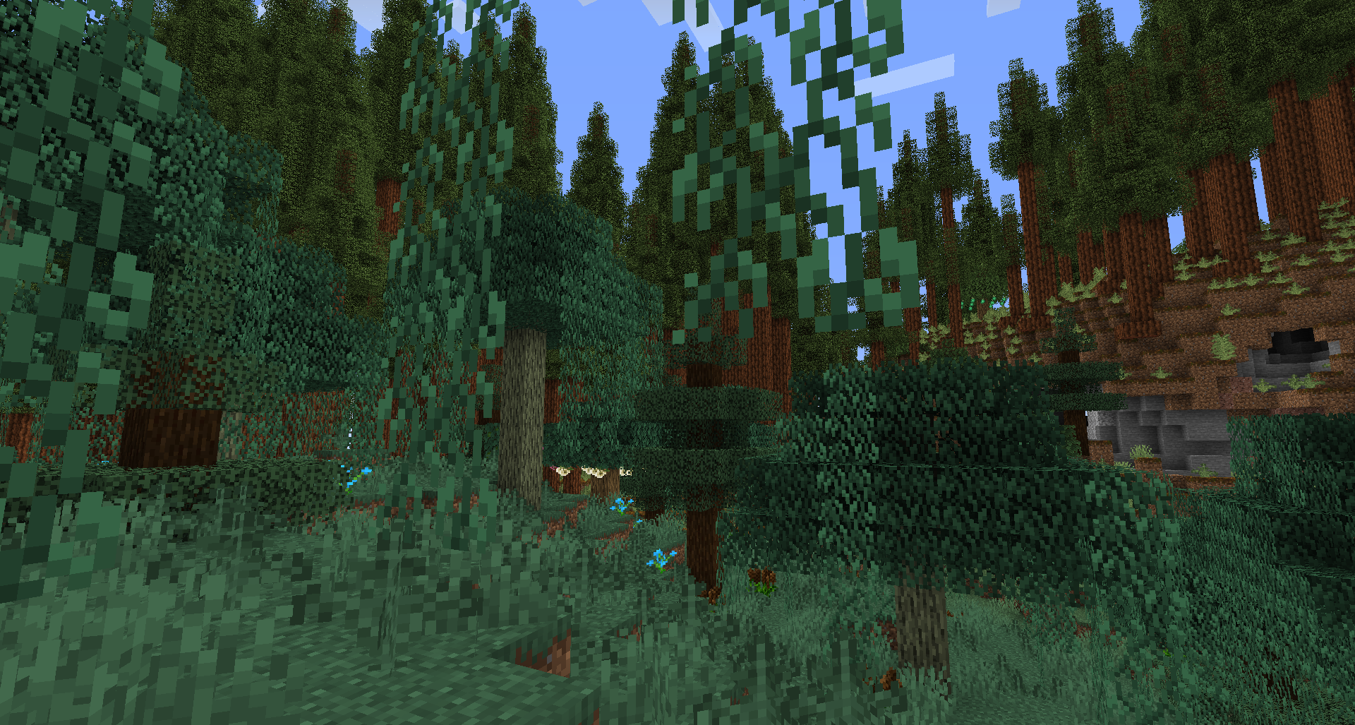 A look at one of the forests that generate in the Biomes O' Plenty world type (which is the recommended world type)