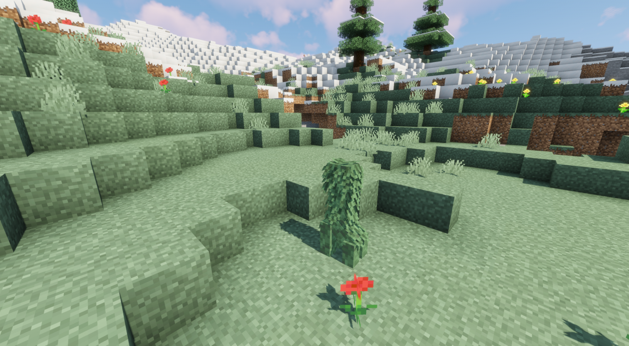 Mountain Creeper