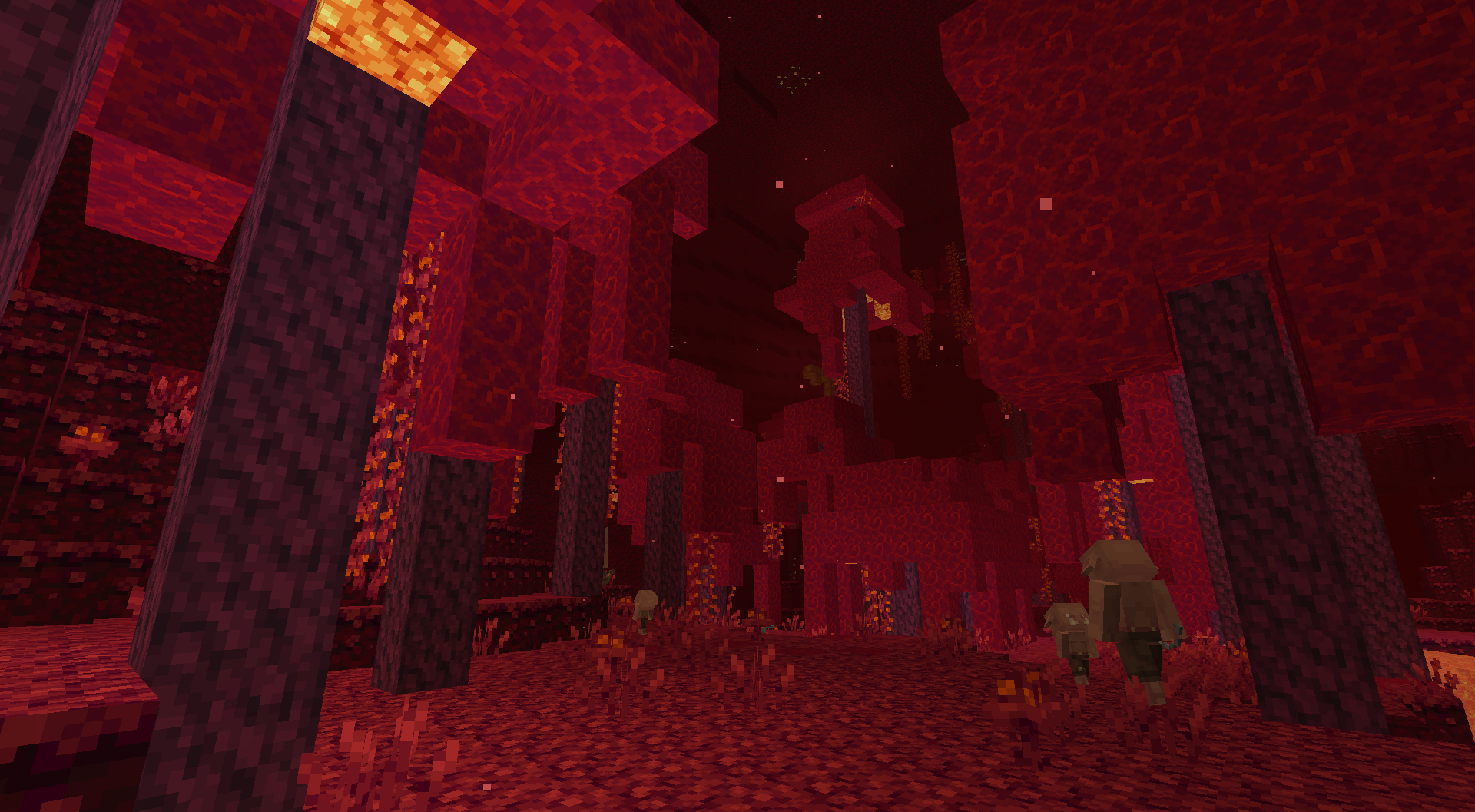 Crimson forest