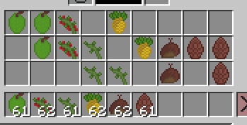 Fruit