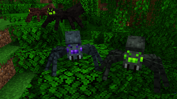 Jungle Spiders