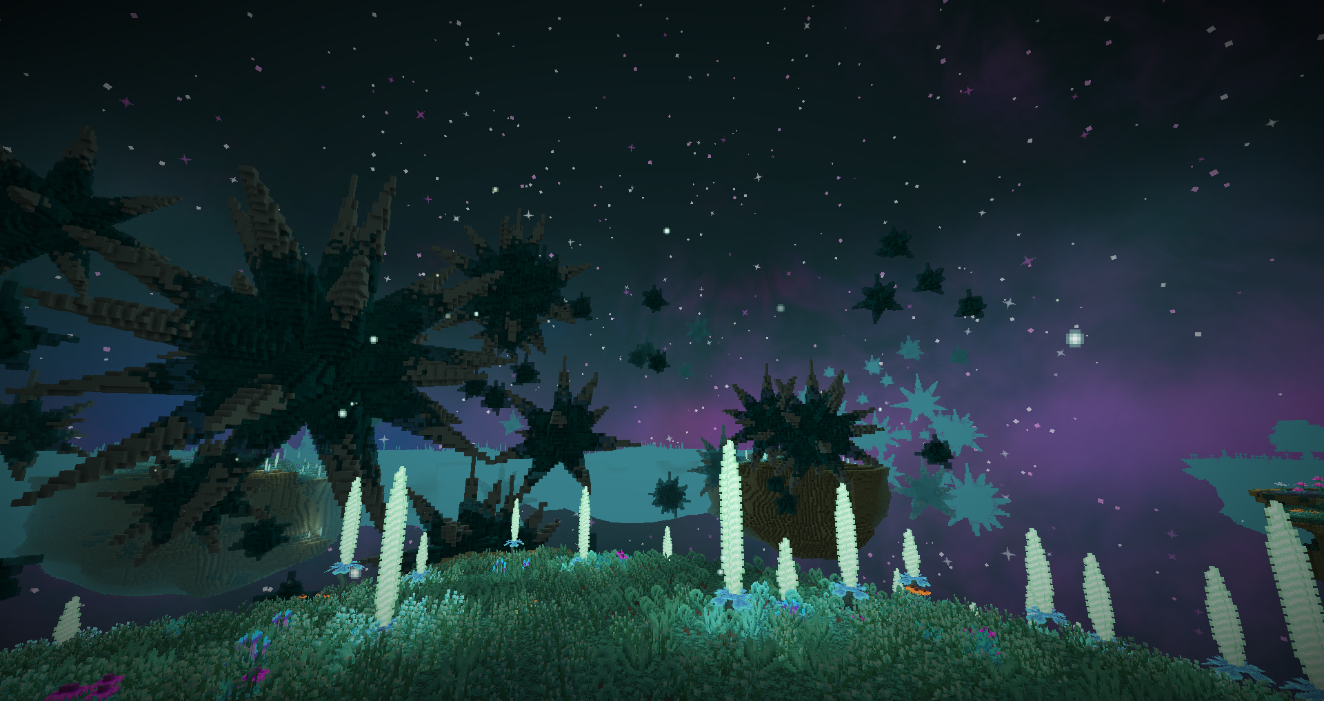 A view of the Ice Starfield biome