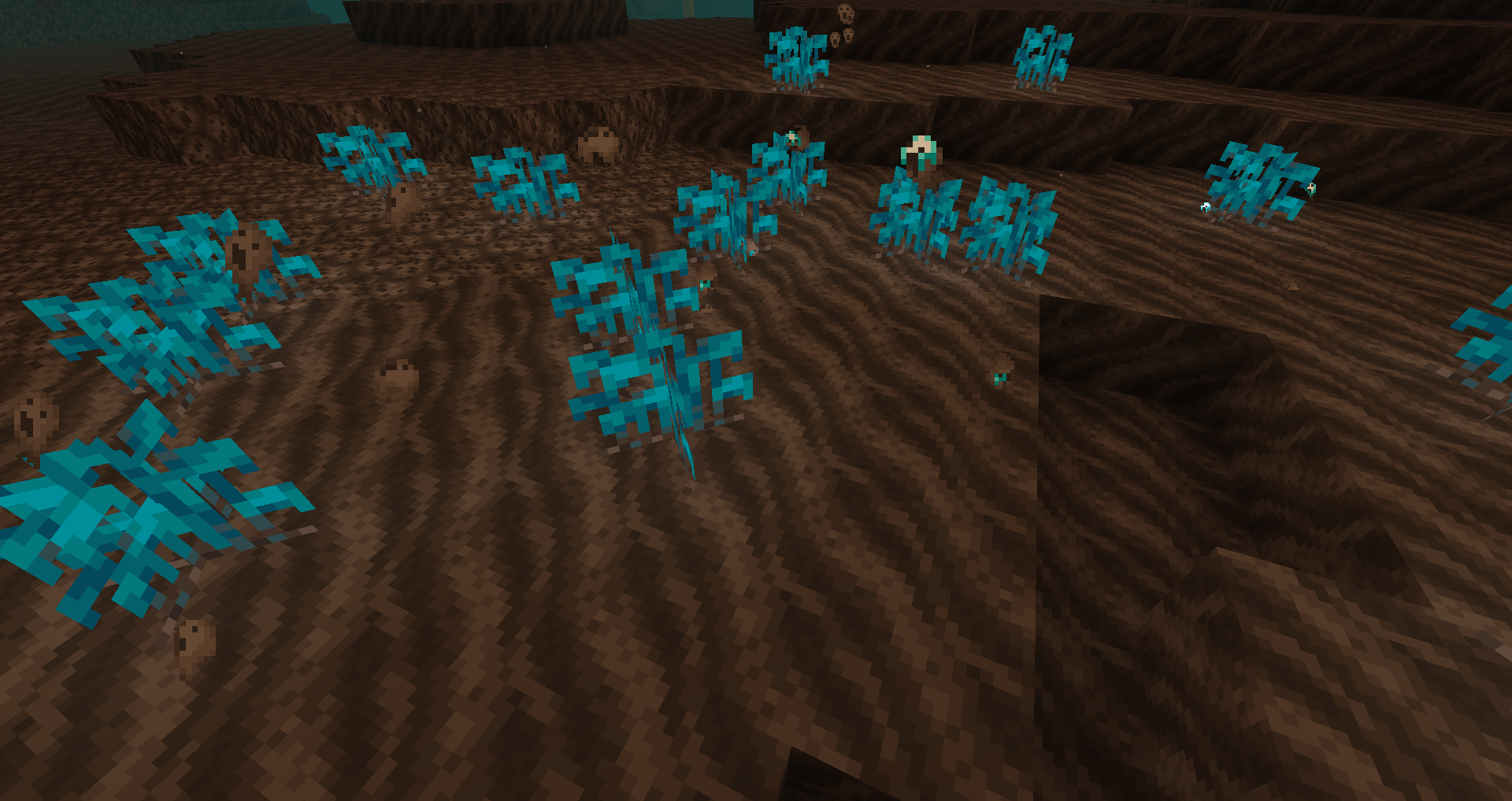 That's new plant with hard name...