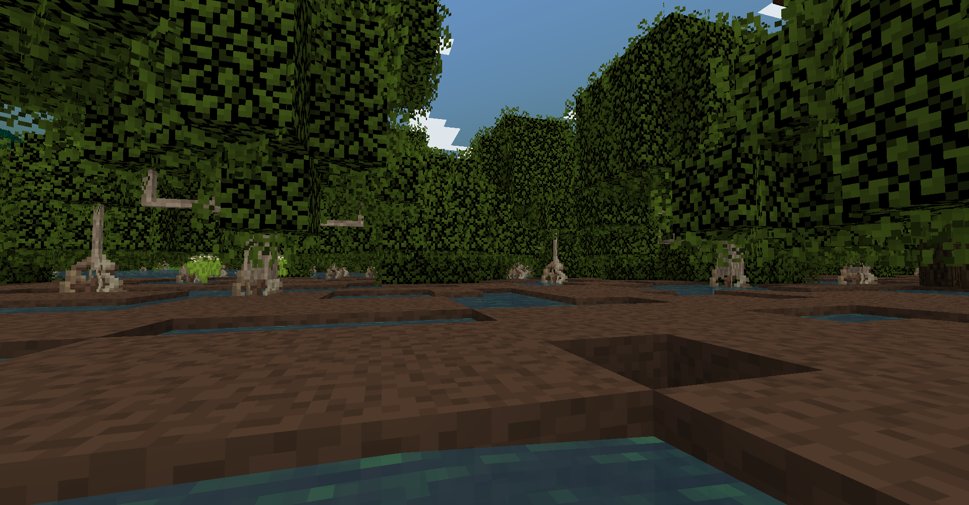 Discover the new swamp biome