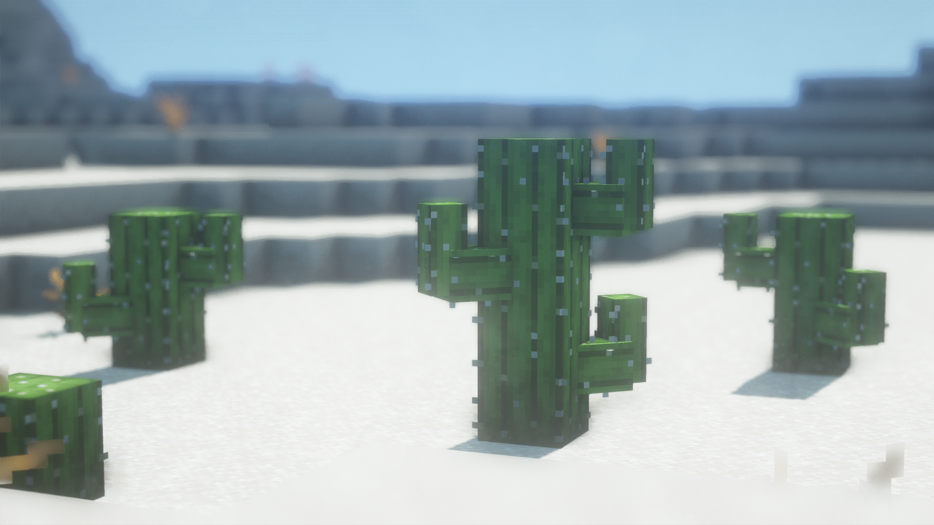 Cactus Arms (old)