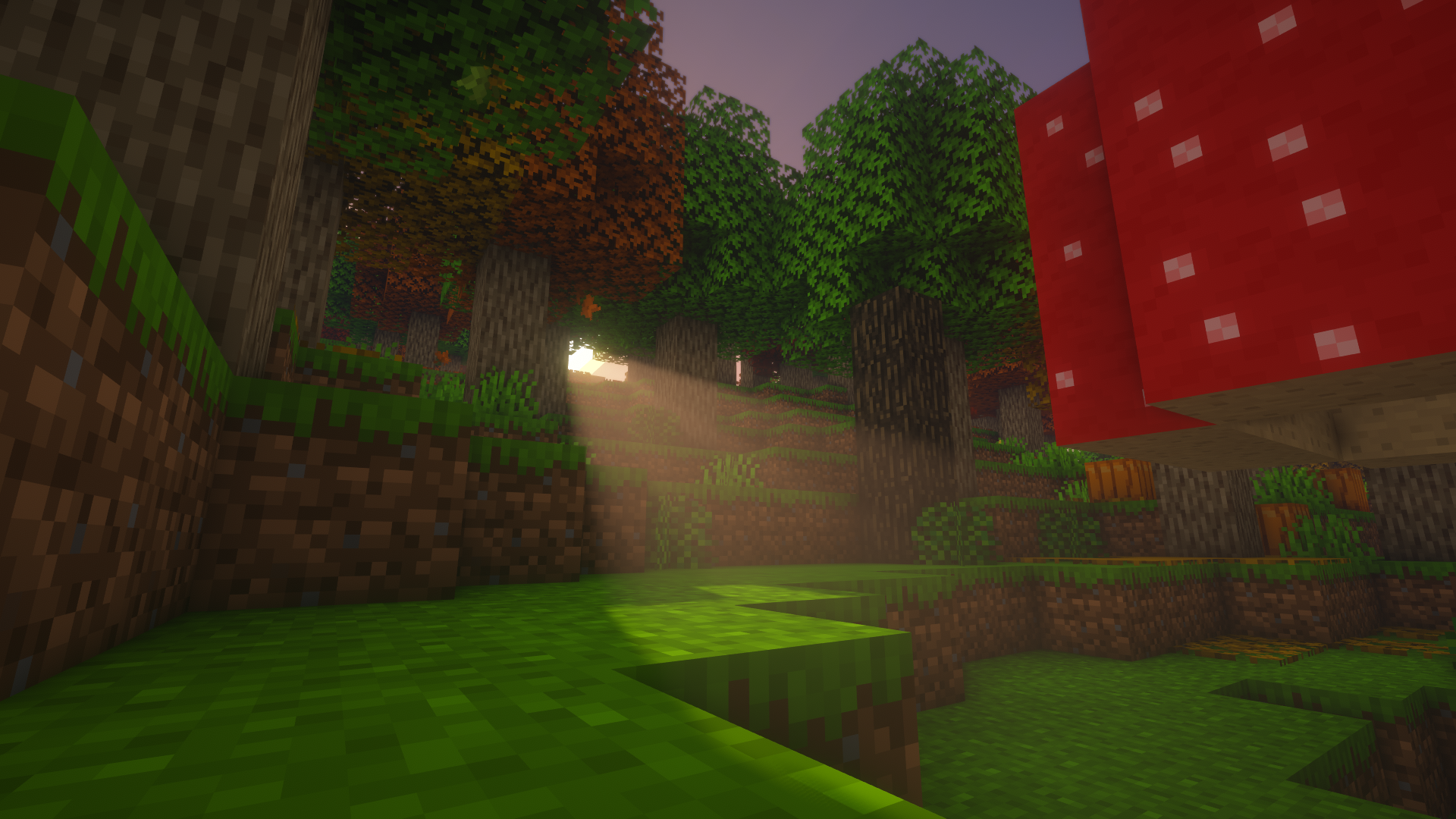 With BSL v8.0 Shaders