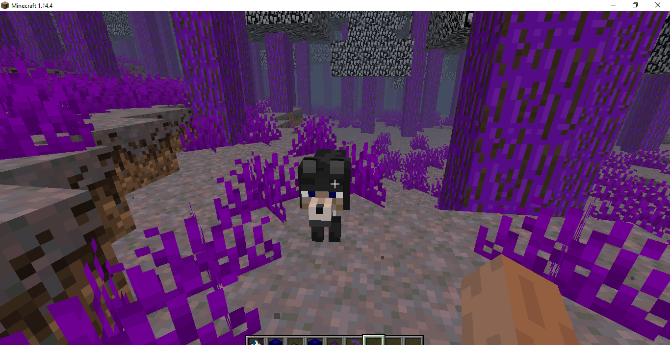 minecraft evil wolf