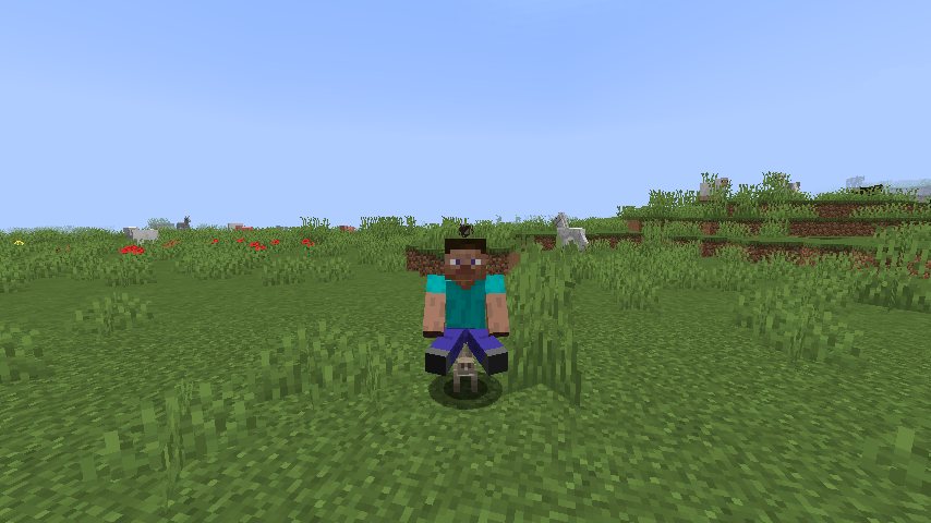 rabbit ride