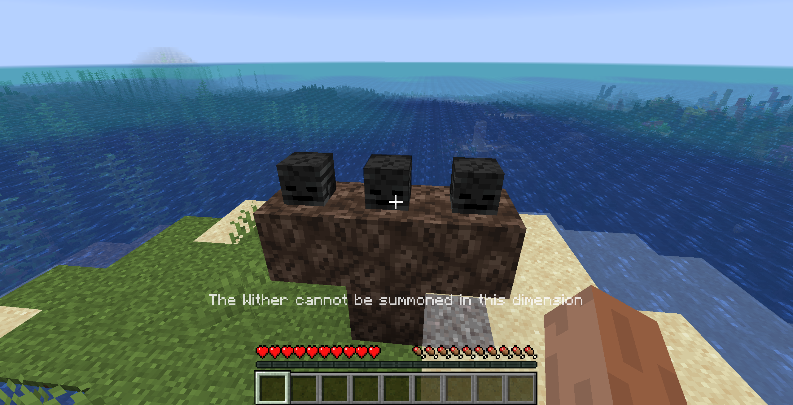 minecraft wither dimension