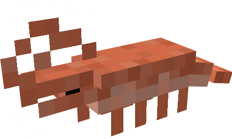 looks better an lobster