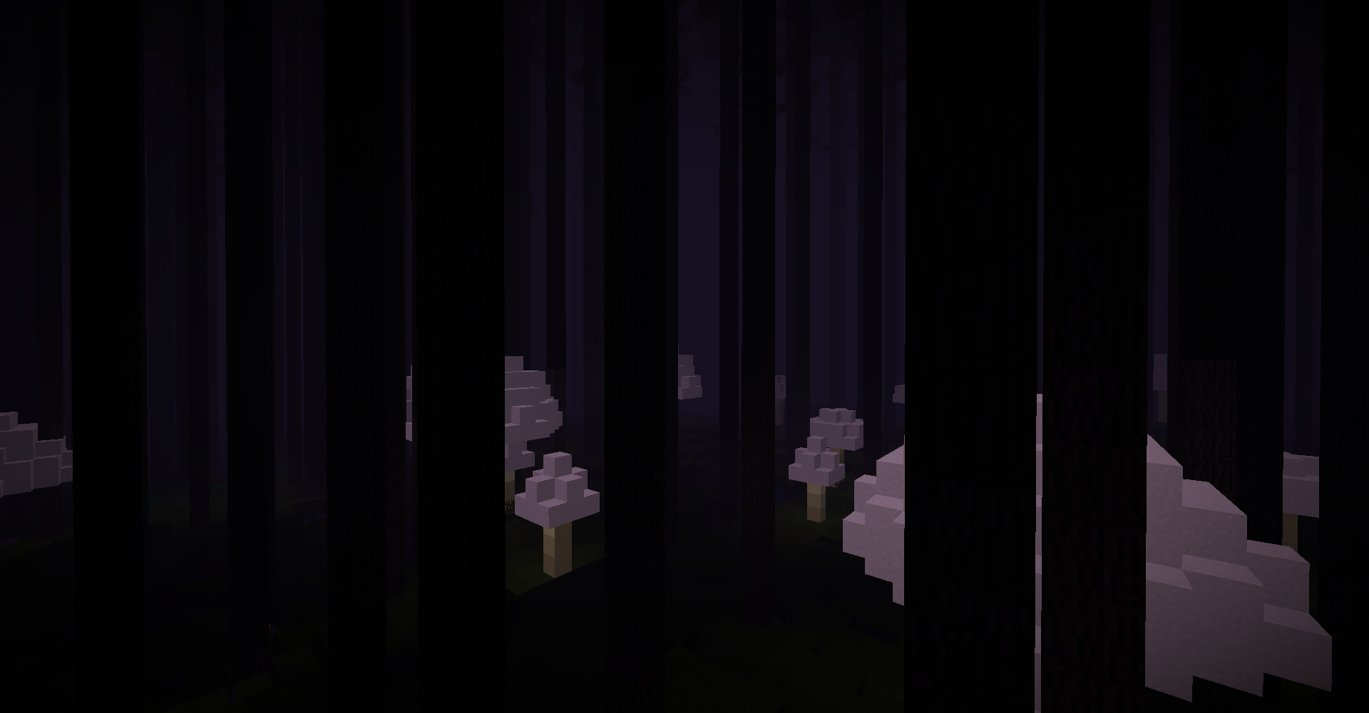 Luminous Grove