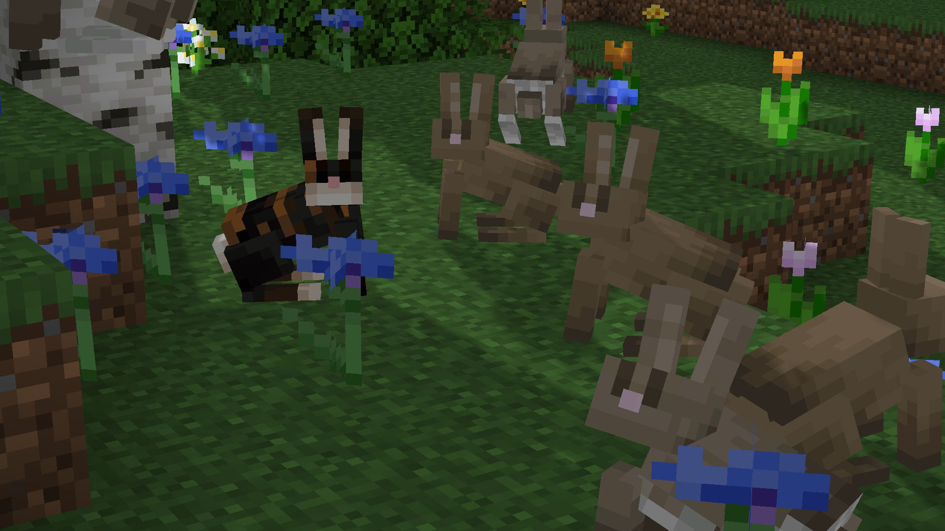 Rabbits