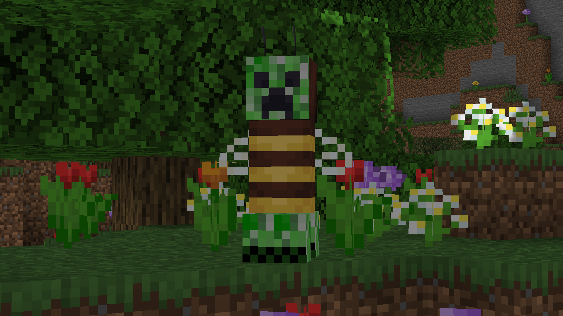 Bee Creeper