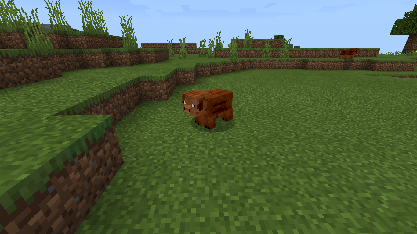Мод на реалистичную камеру. Хряк майнкрафт. Мод на перетаскивание животных MCPE. Размножение животных в майнкрафт. Мод на реалистичных животных