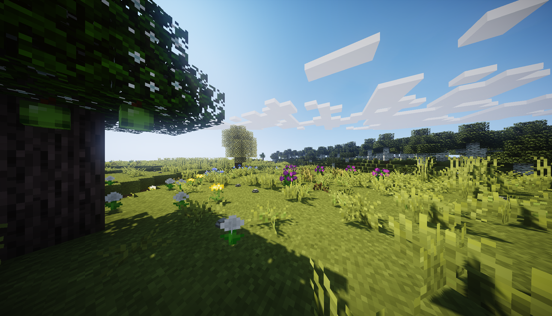 Terrain gen with shaders