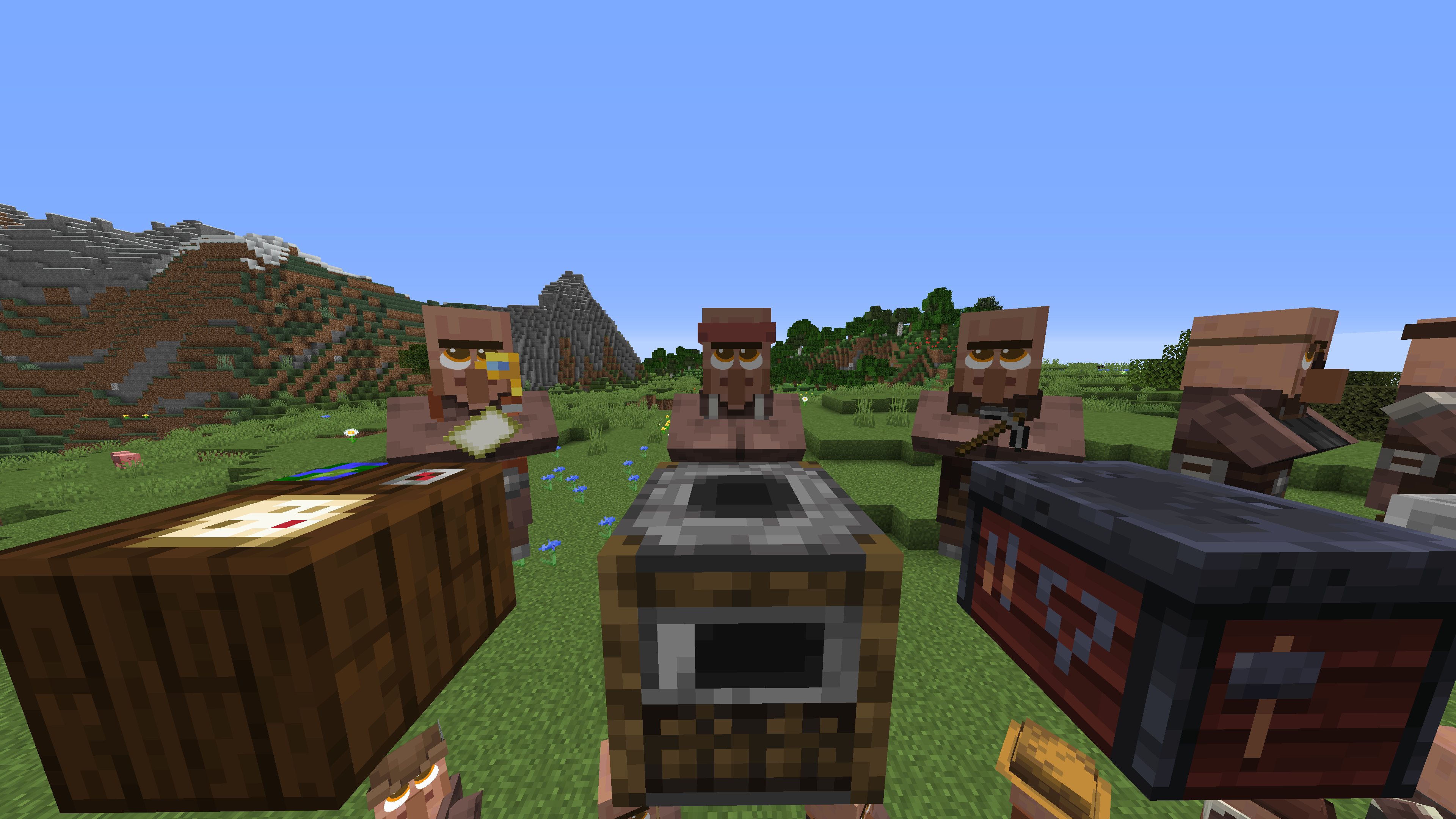 Villager Professions #4