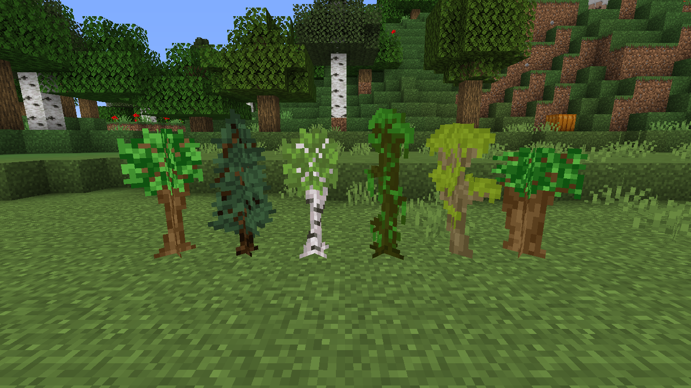 Visual sapling growth