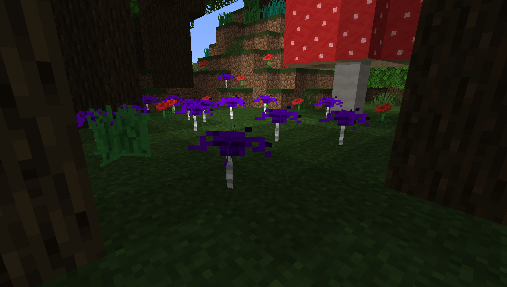 Purple Mushrooms