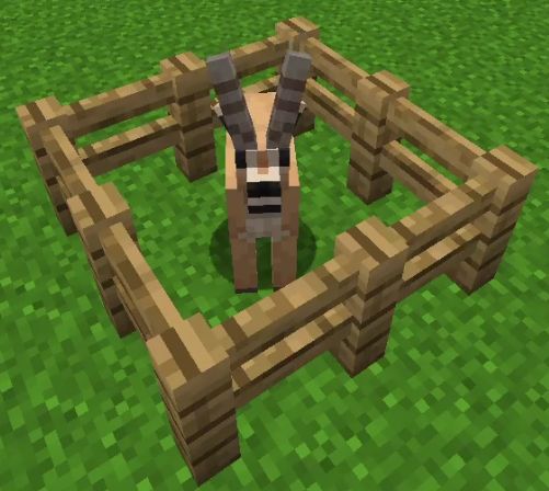 This is one of the animals, that will be added by the Modpack