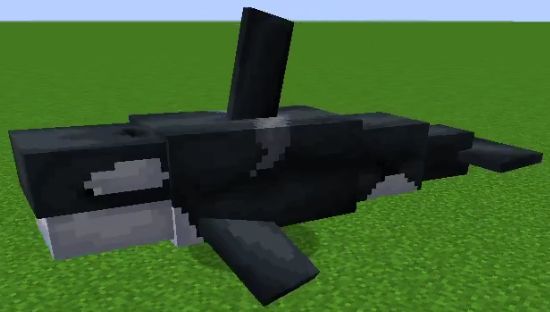 Animal