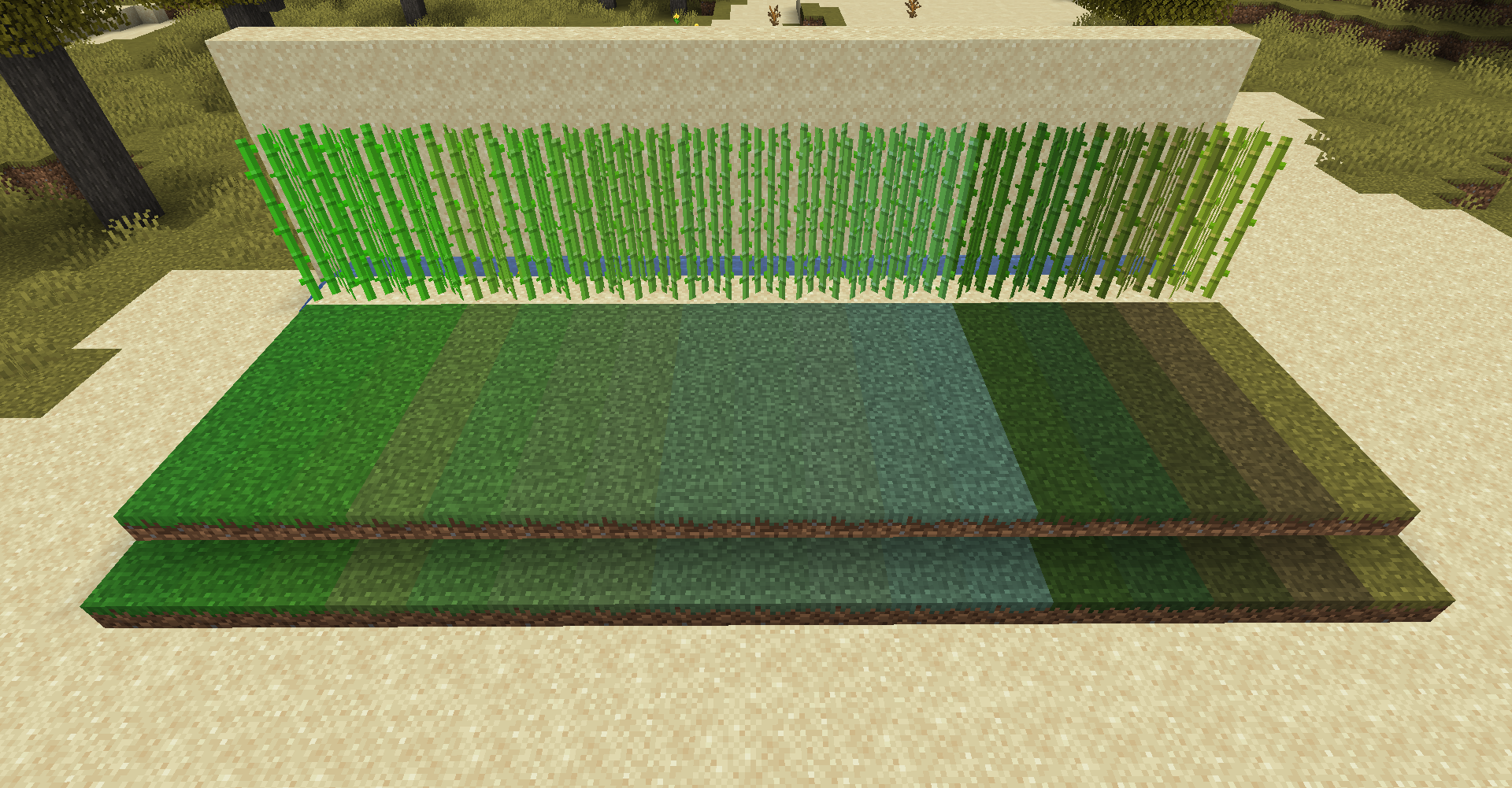 Grass and sugar canes in all colors!