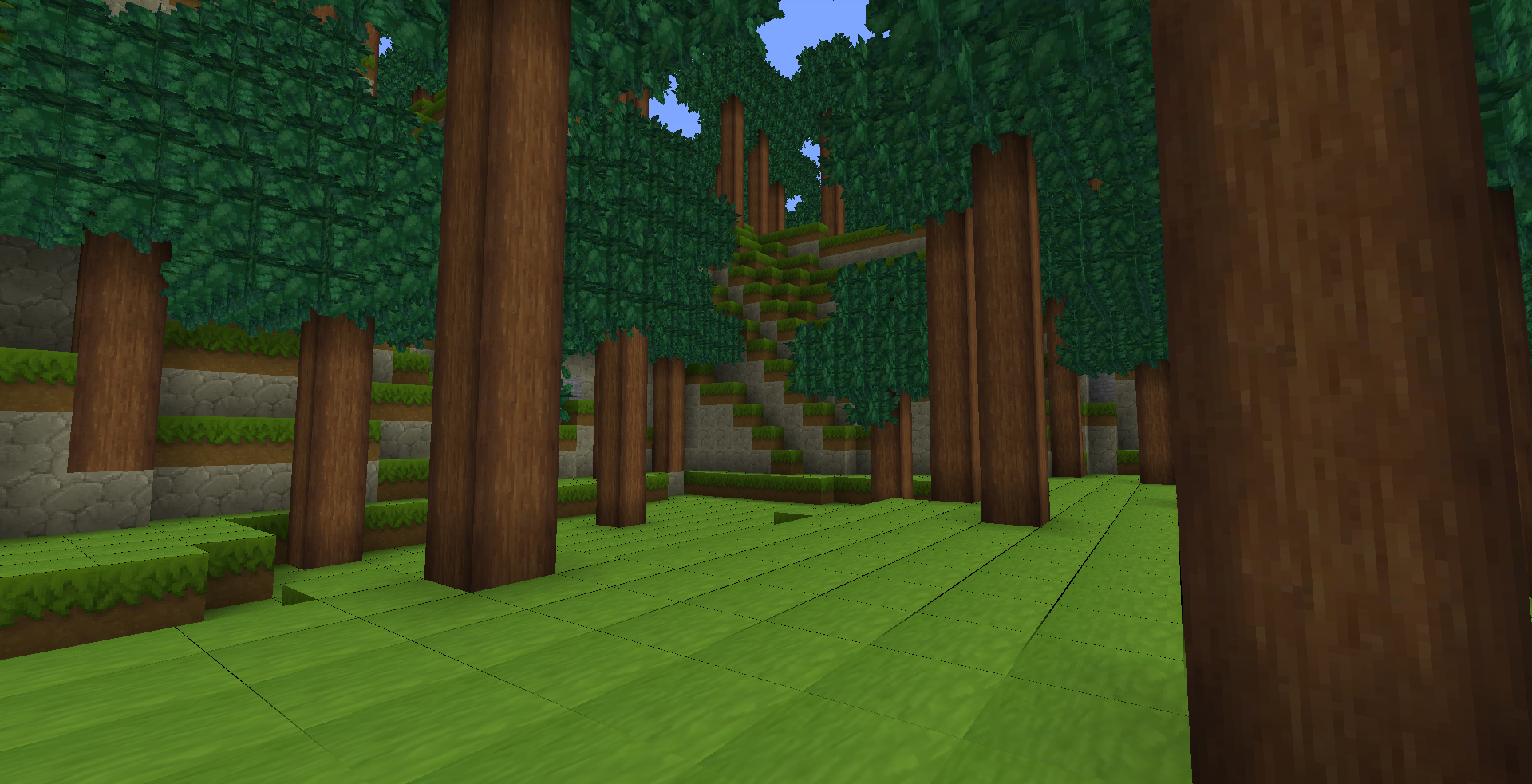 1st Biome