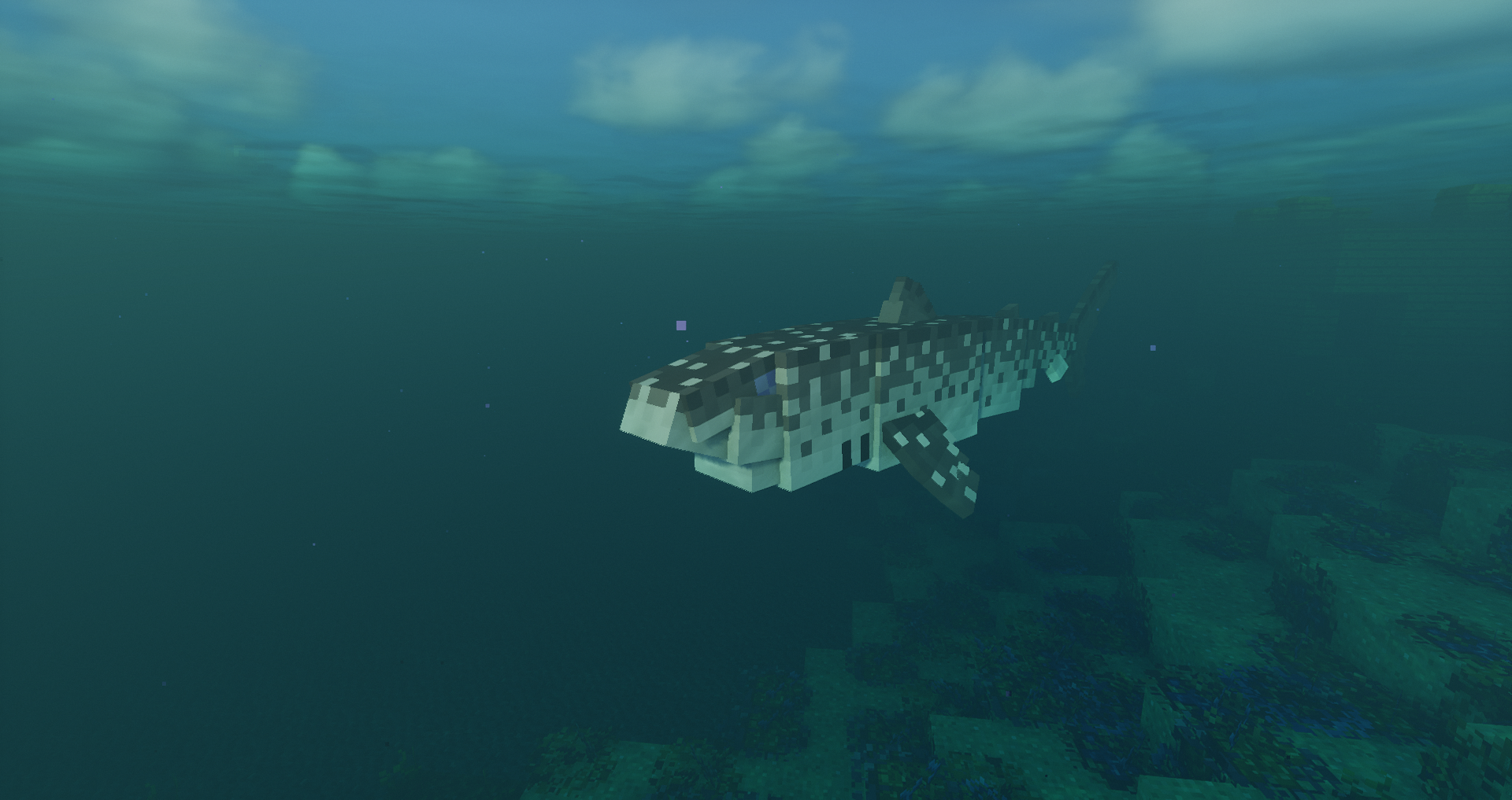Sharks...