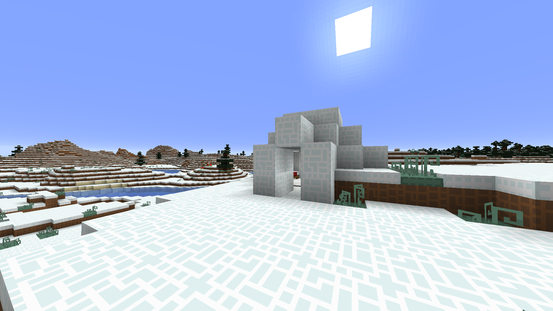 Snowy Biome