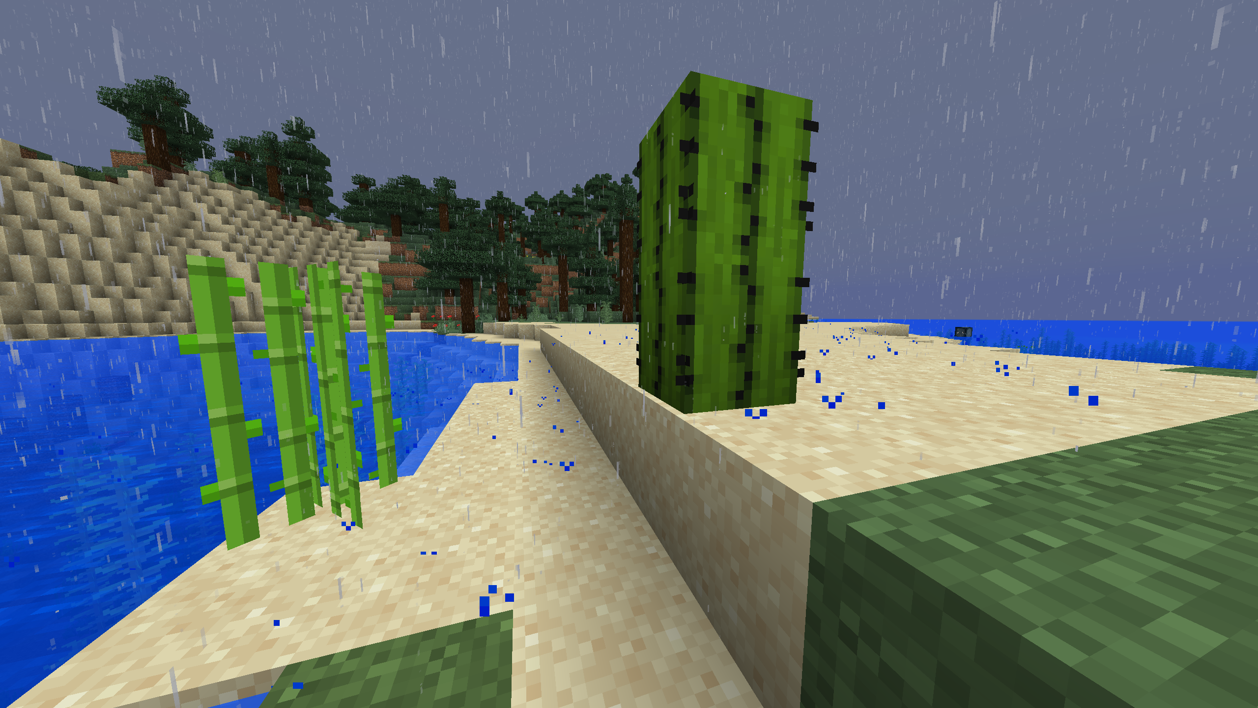 reeds and cactus