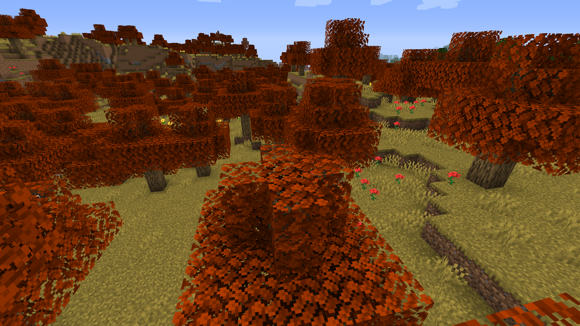 A relaxing Autumn forest, watch out for Decayed Creepers!