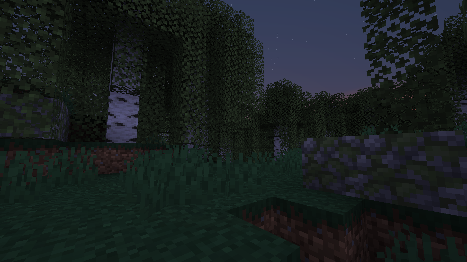 Here in this unusually overgrown forest, you can find the Mo'o in it's sky form.