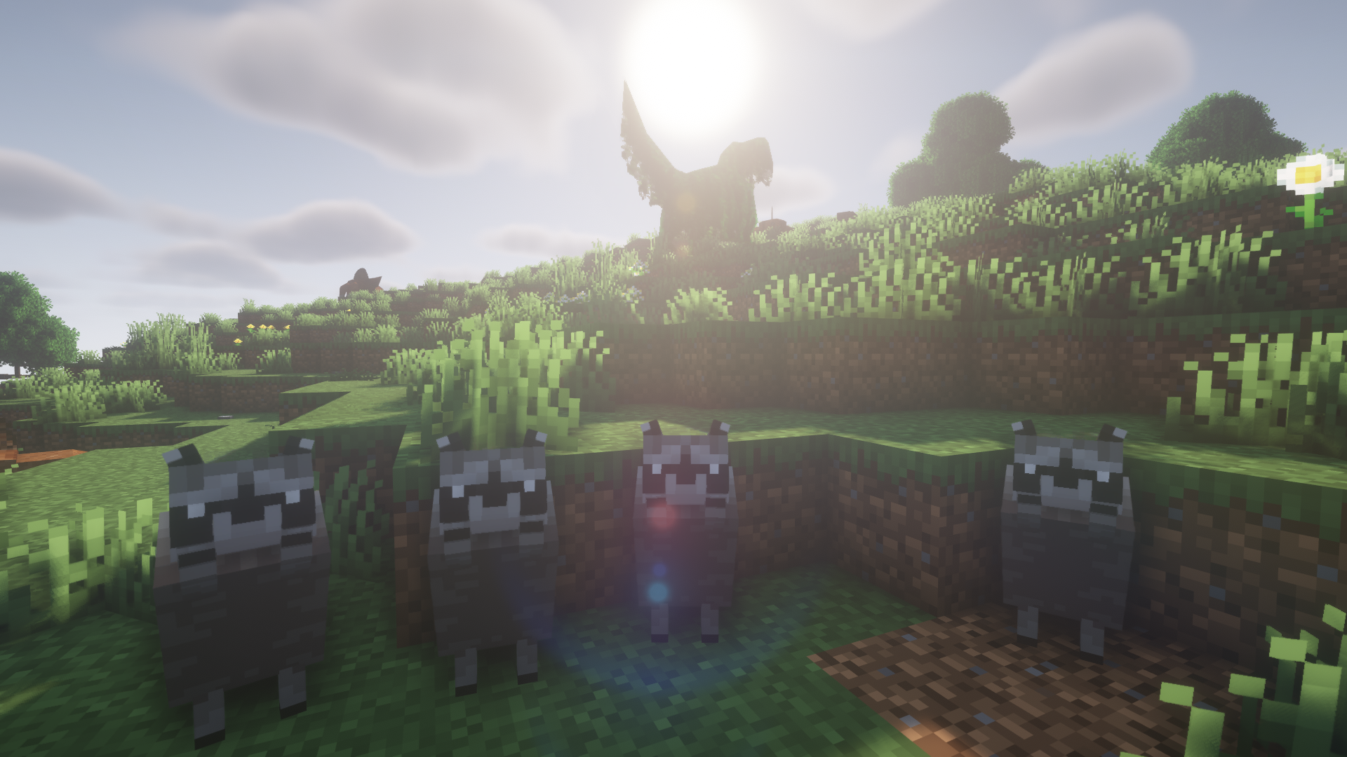Some animals froms Alexs animals