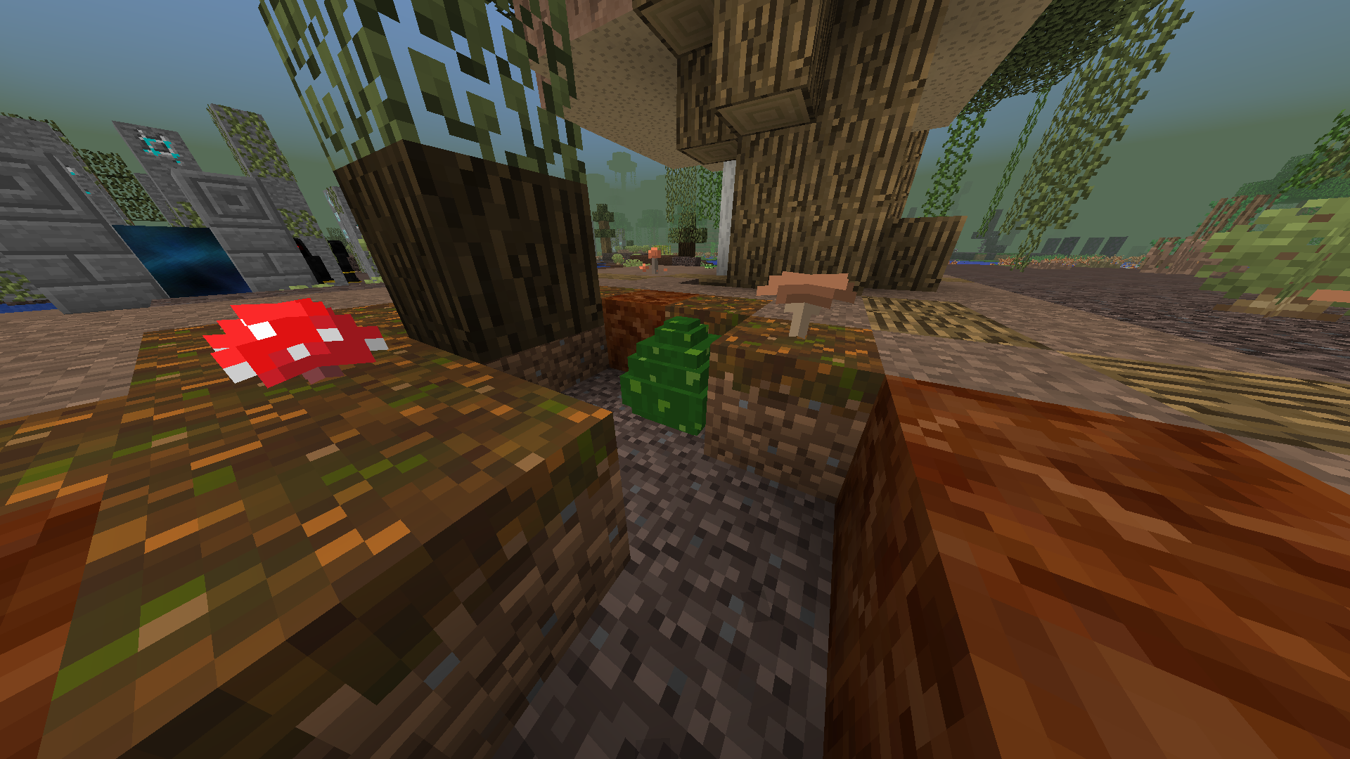 Dragon eggs spawn as well as spawning in chests.