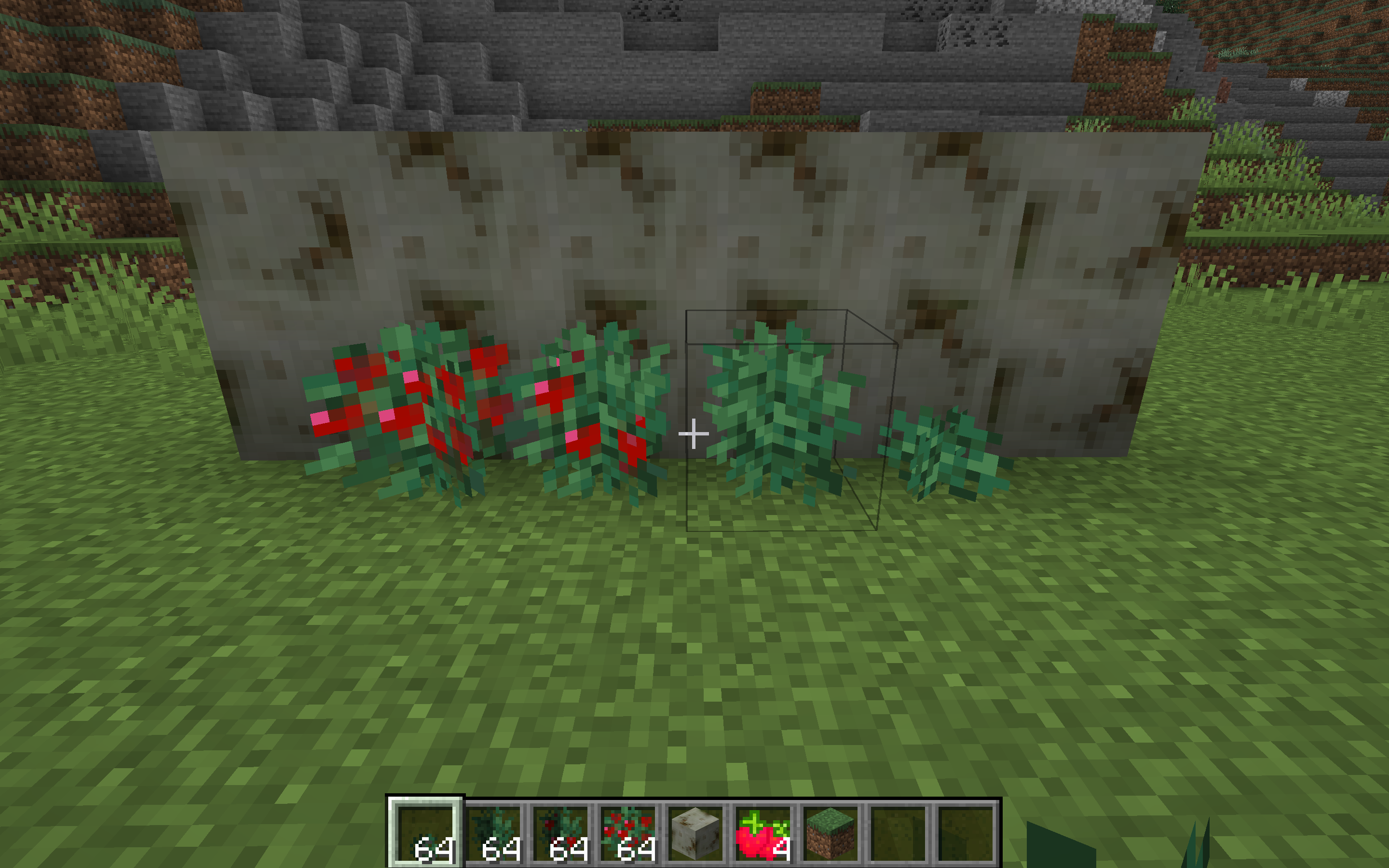 Strawberry Bushes