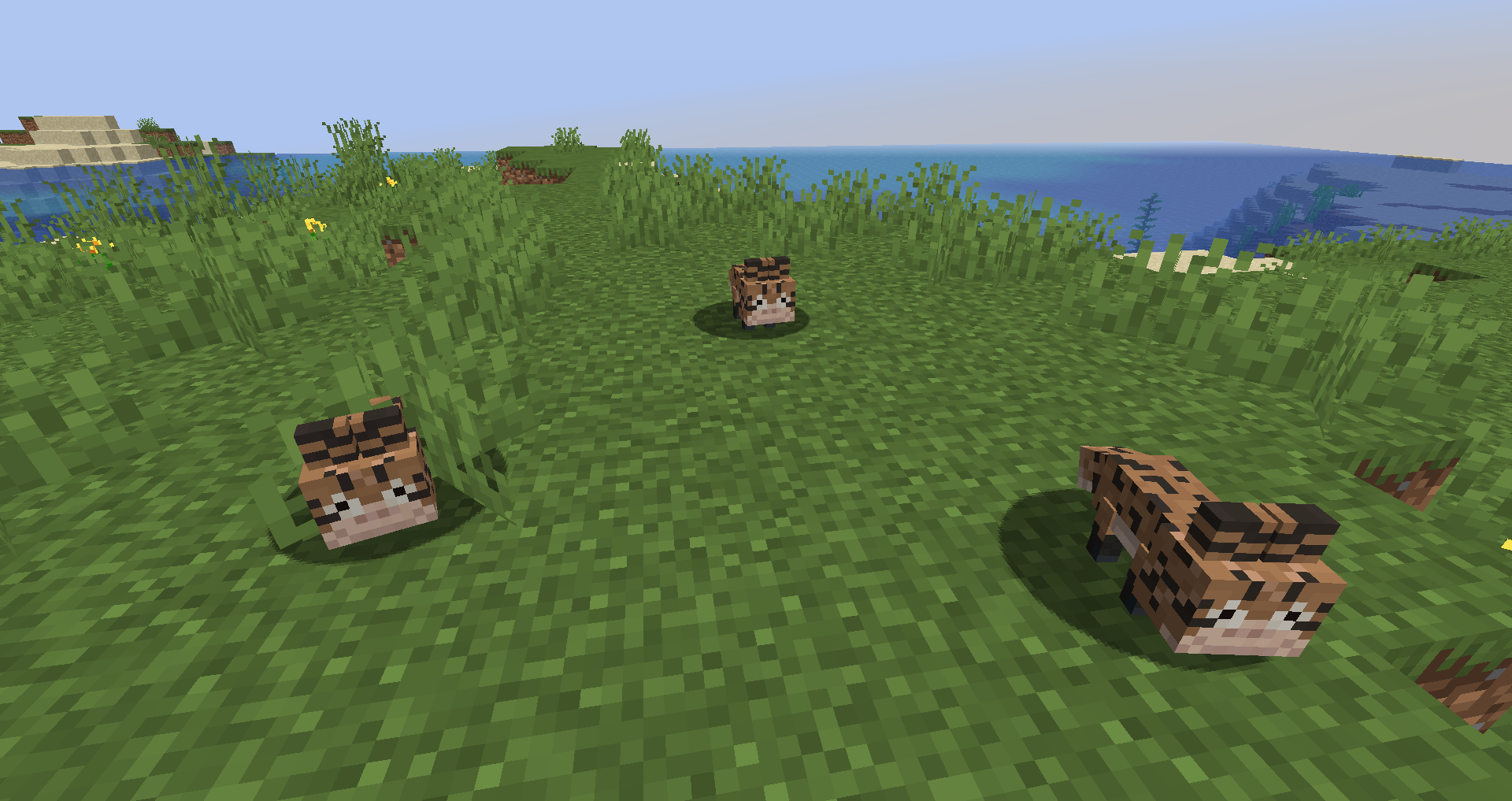 A group of Loth Cats in plains