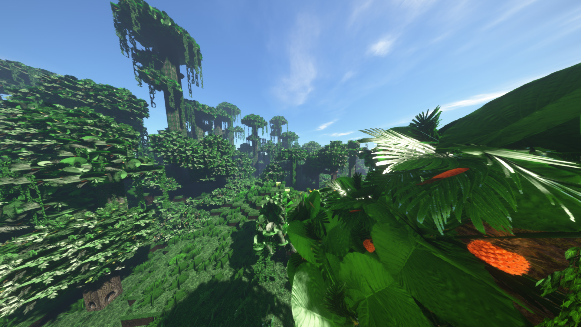 Jungle Trees