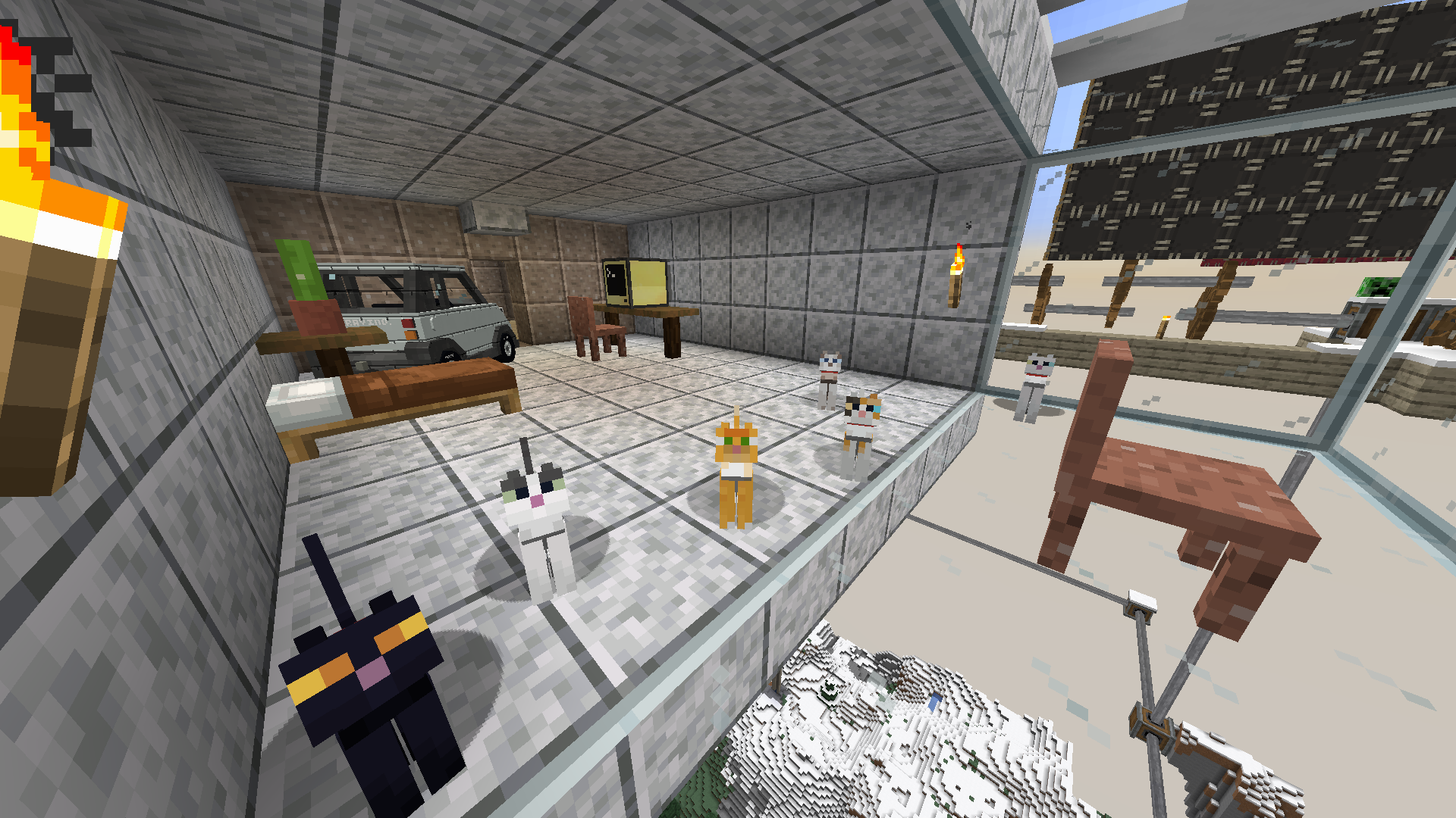 Cat Placce