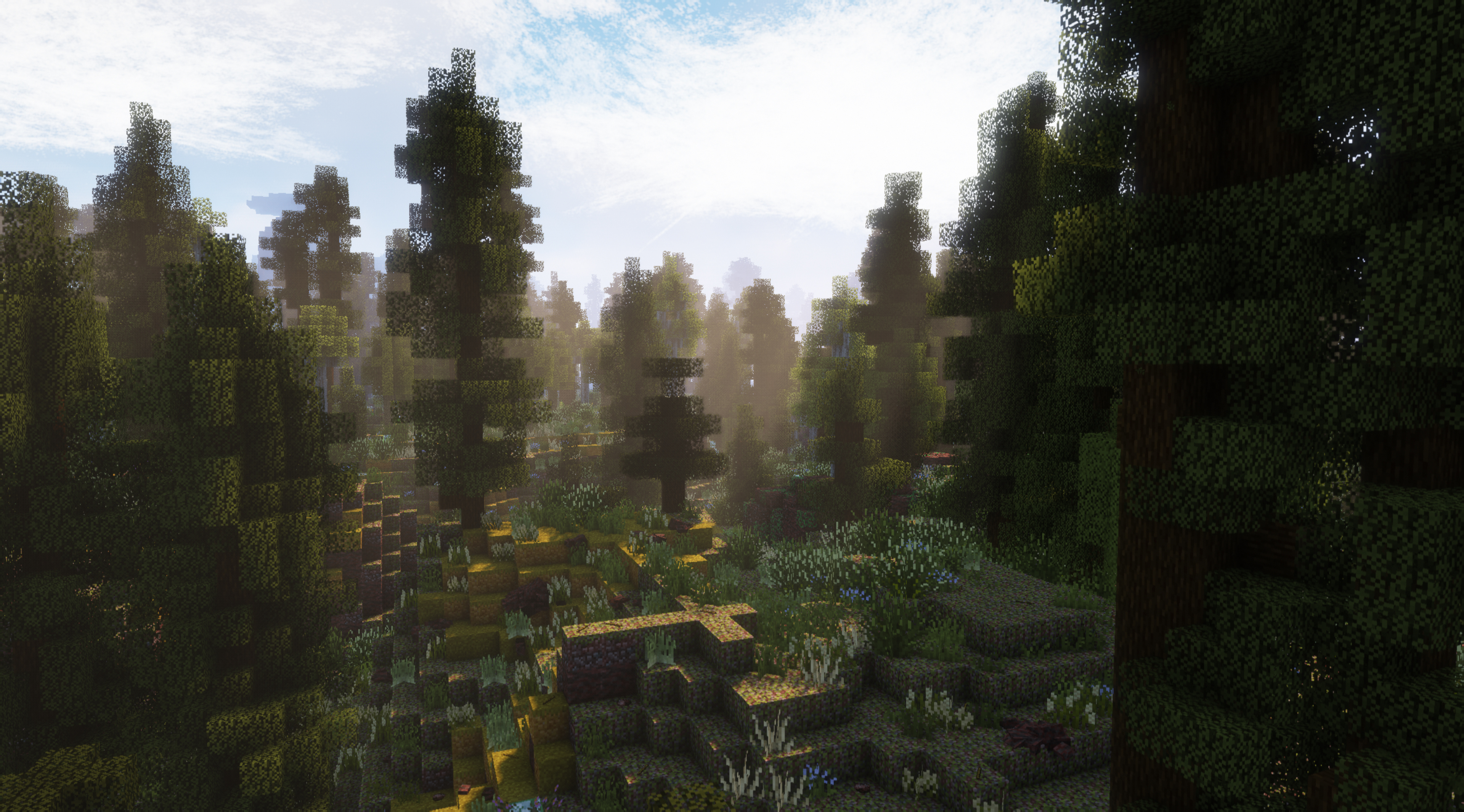 Pine and Spruce Forest