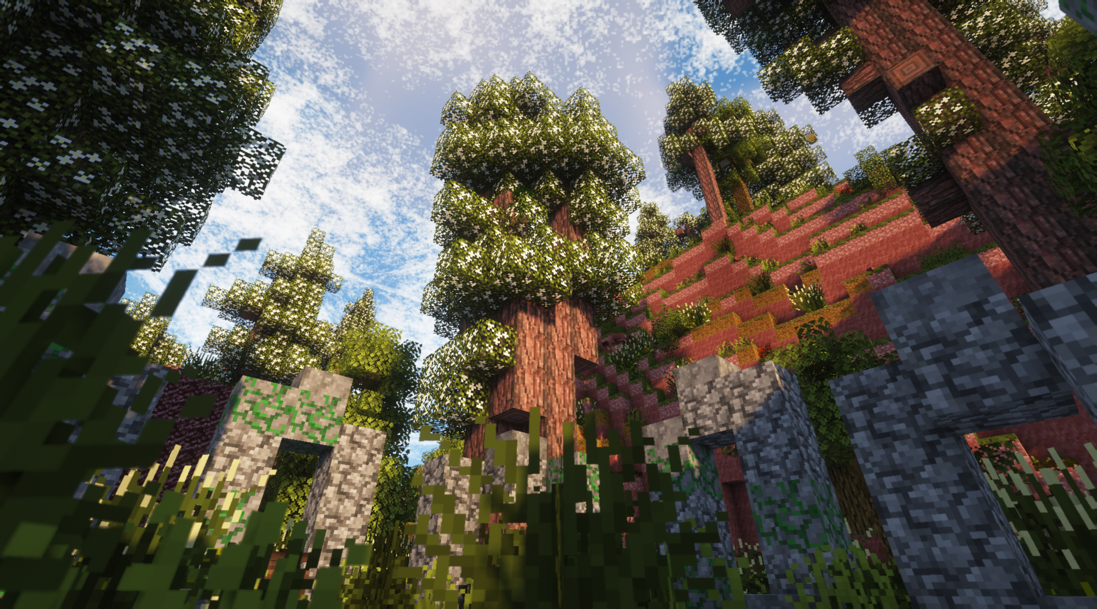 Red Cedar Forest
