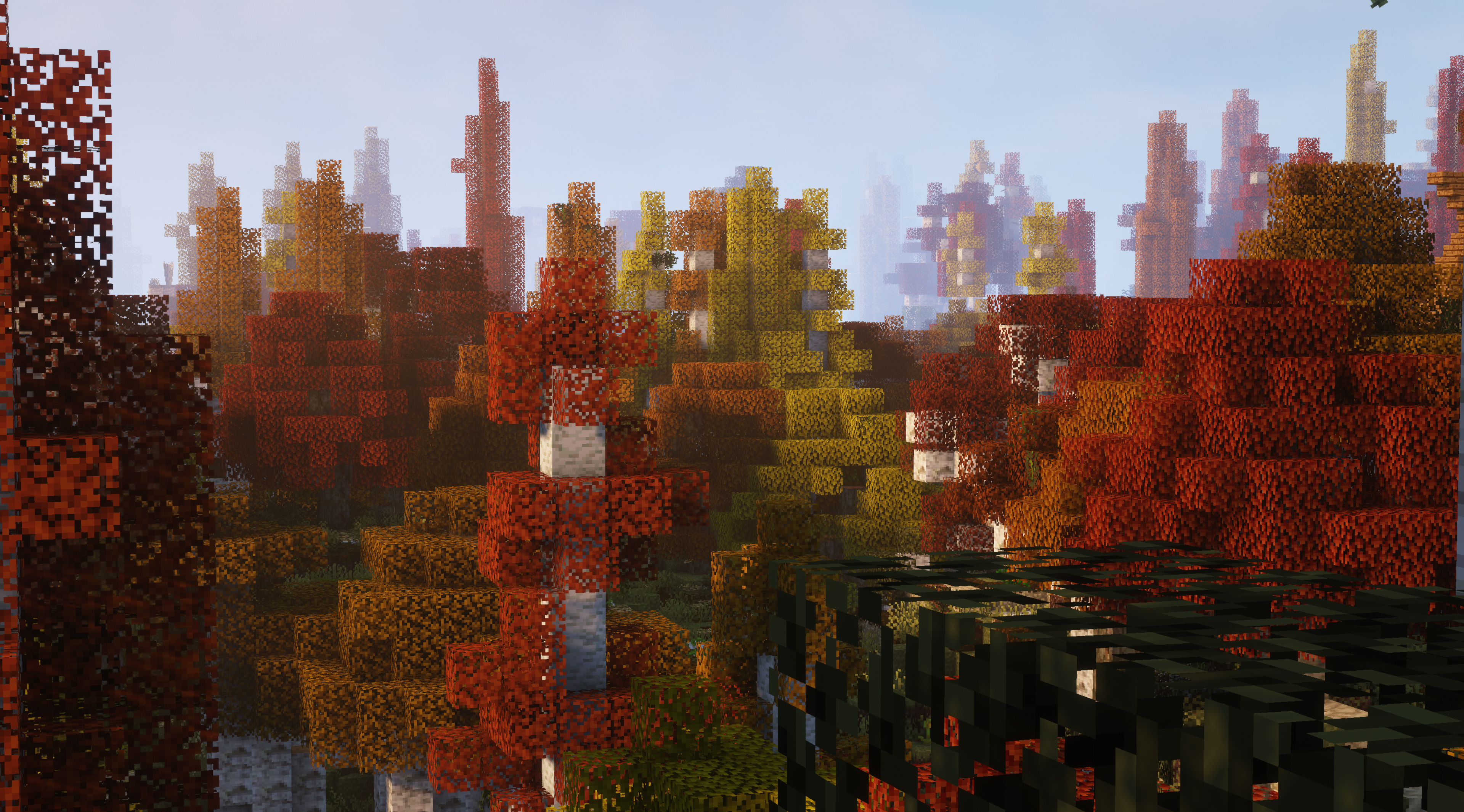 Autumnal Forest
