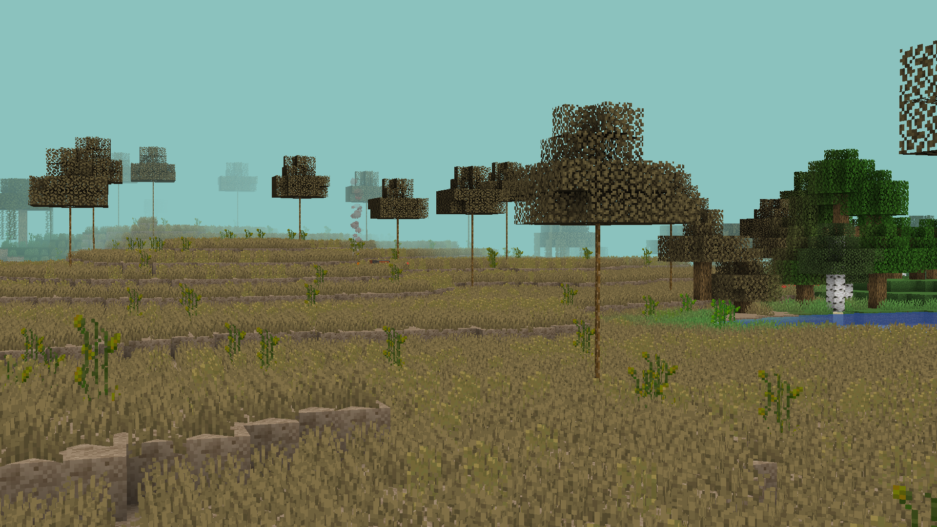 Prairie biome