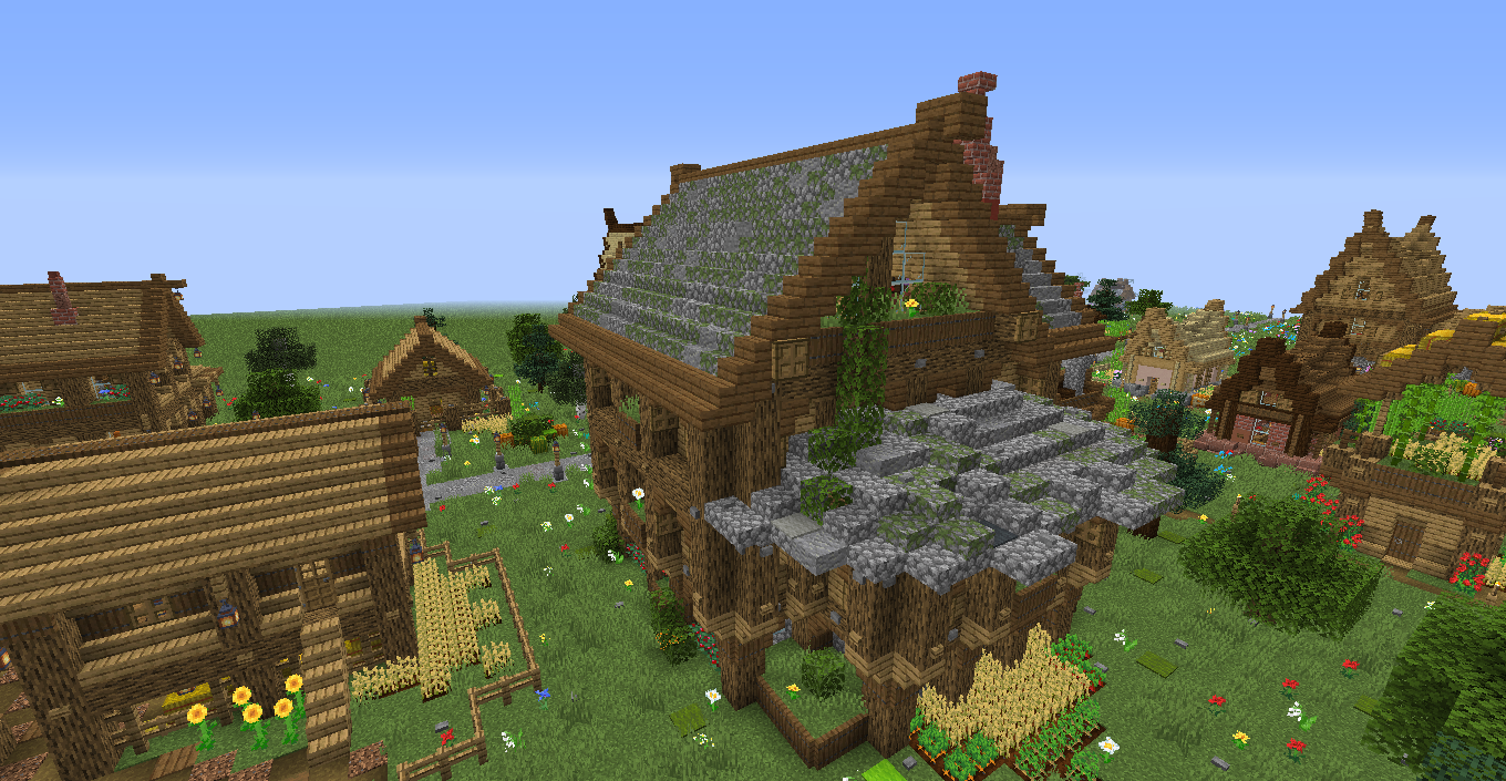 Big rustic house