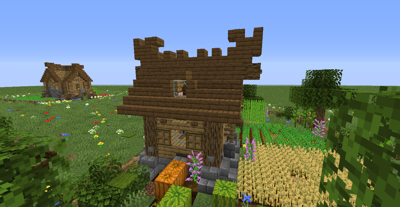 Small rustic house