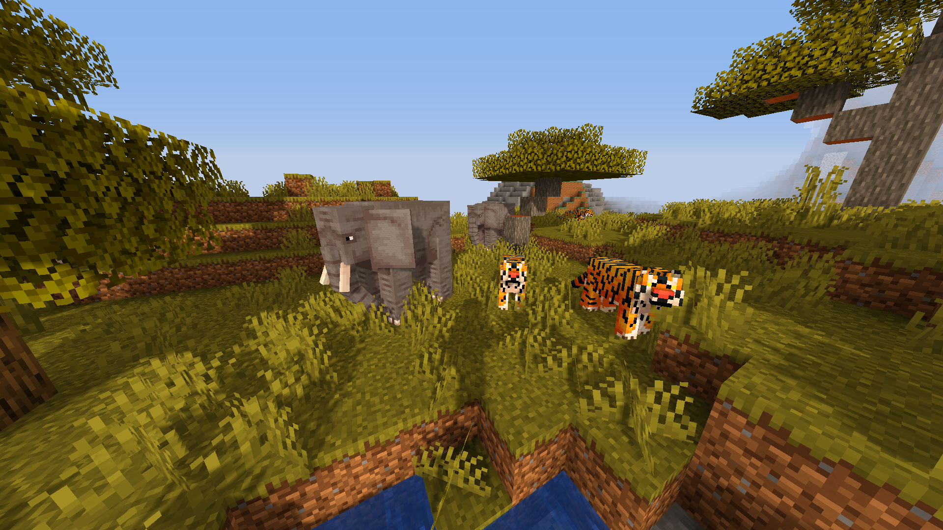 New Animals on Savanna!