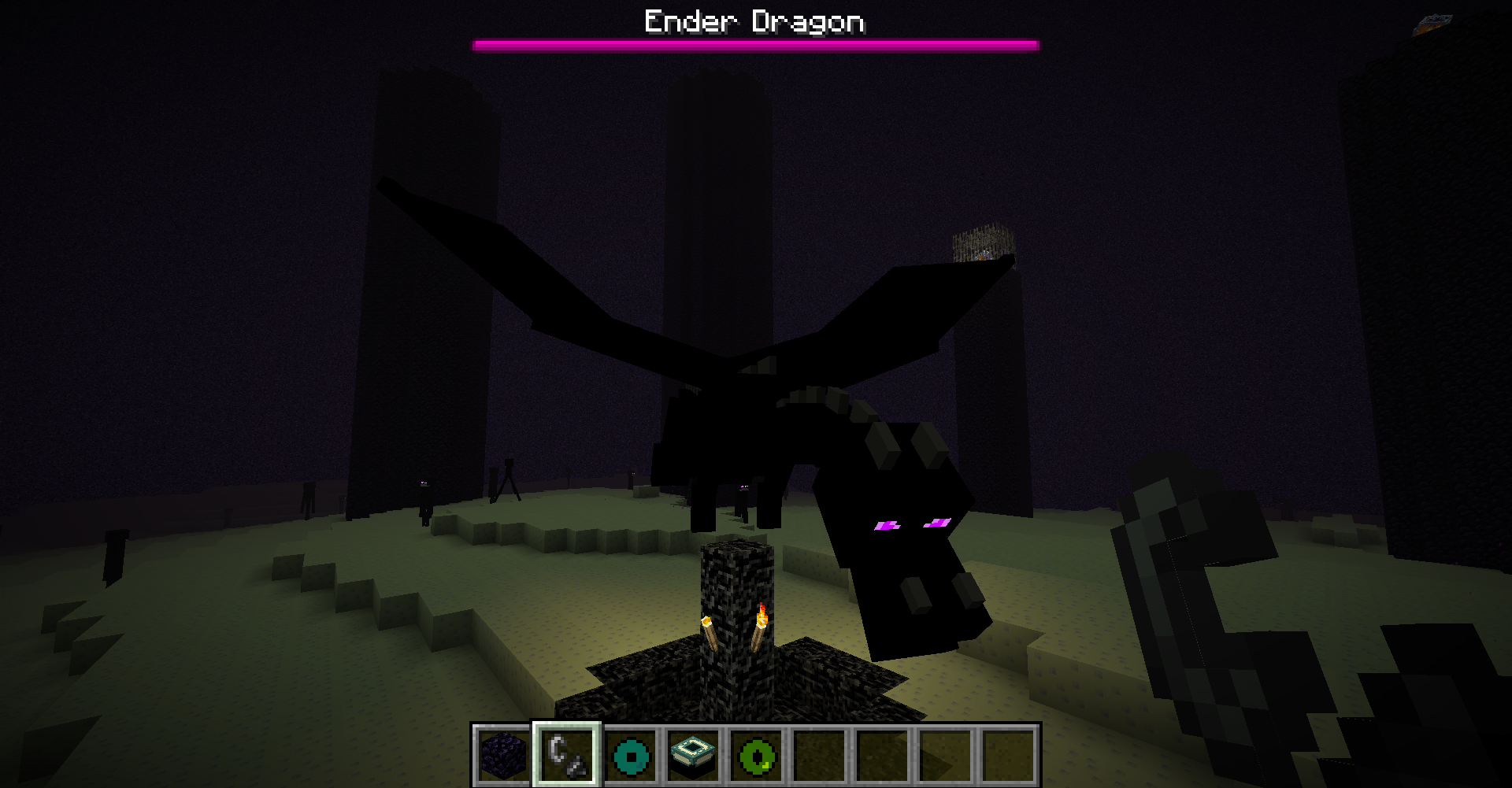 Better Ender Dragon!