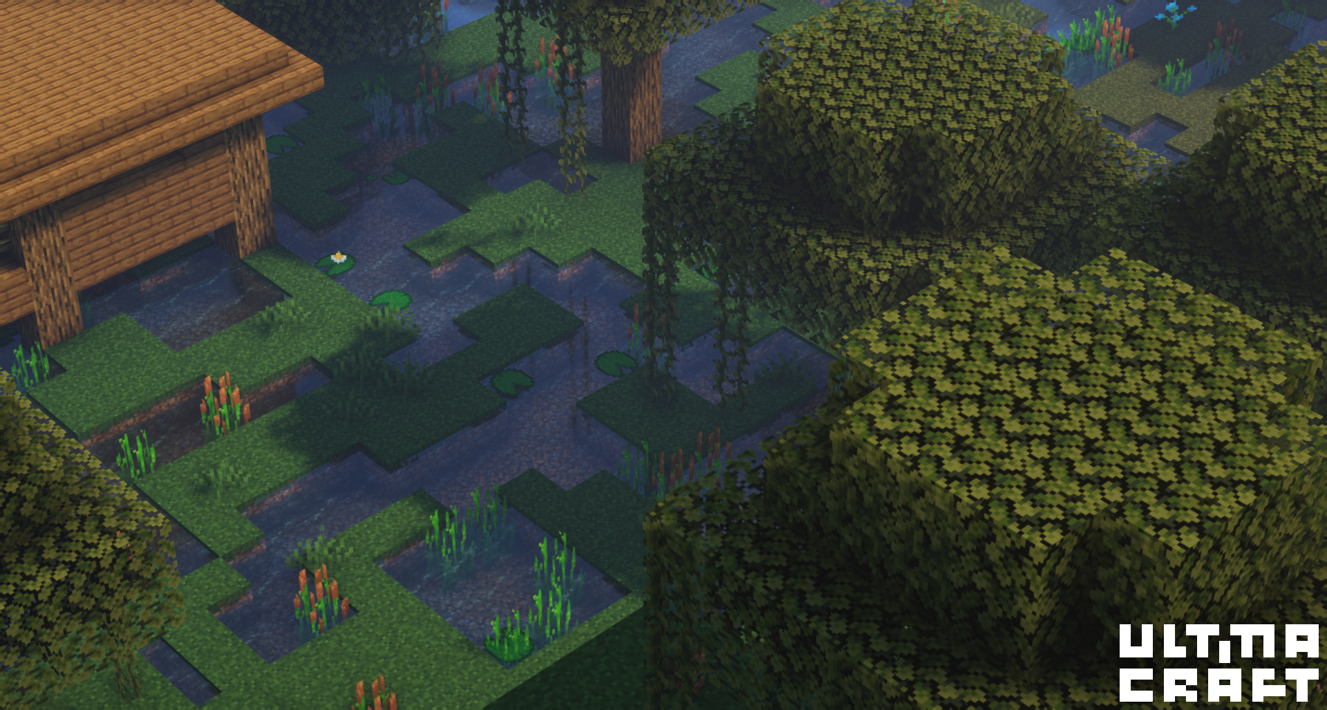 Swamp biome